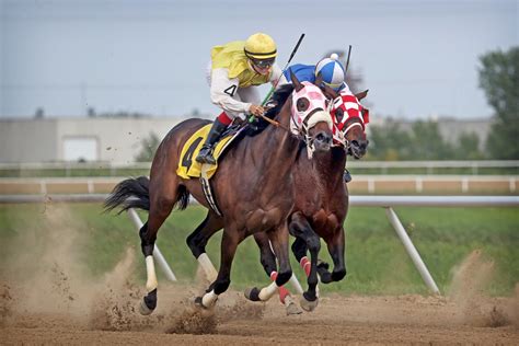 Horse jockey Connie McKenzie finds success in first season riding at ...