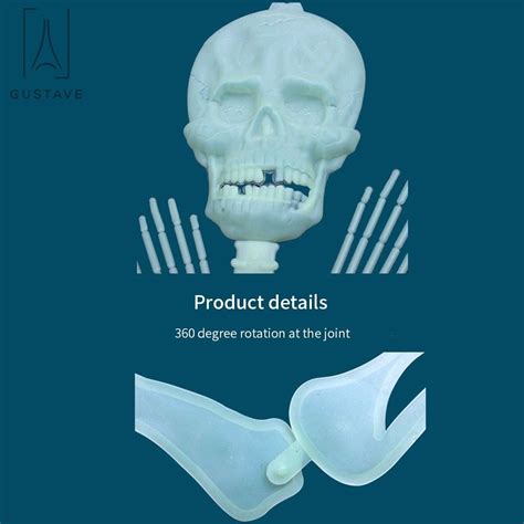 Buy Gustave 2-Pack 5FT Poseable Human Skeleton Halloween Decoration ...
