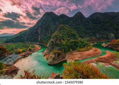 Image result for Rabbit SpO2