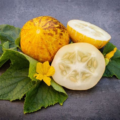 24 Refreshing Lemon Cucumber Recipes to Brighten Your Table