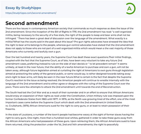 Image result for 2nd Amendment Example
