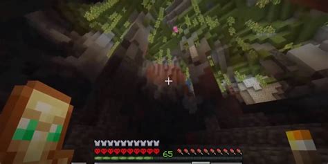 Image result for INF Dimonds Seeds Java