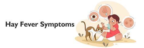 Hay Fever Symptoms: Natural Relief Methods and Remedies