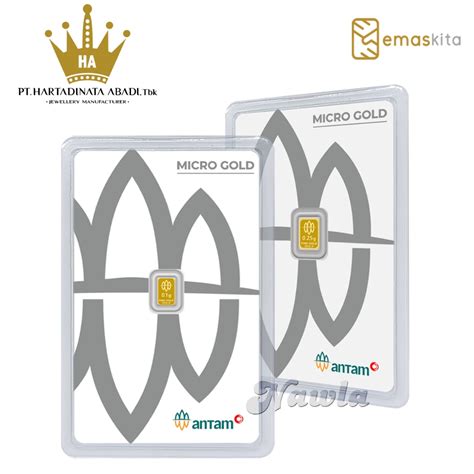 Image result for Pro Model Example