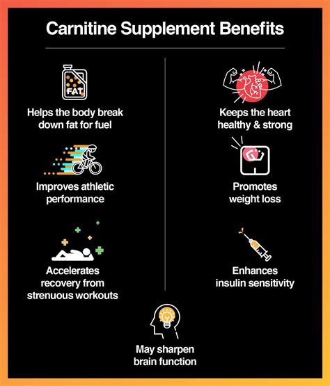 When To Take L Carnitine