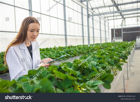Image result for Farm Lab Mapping