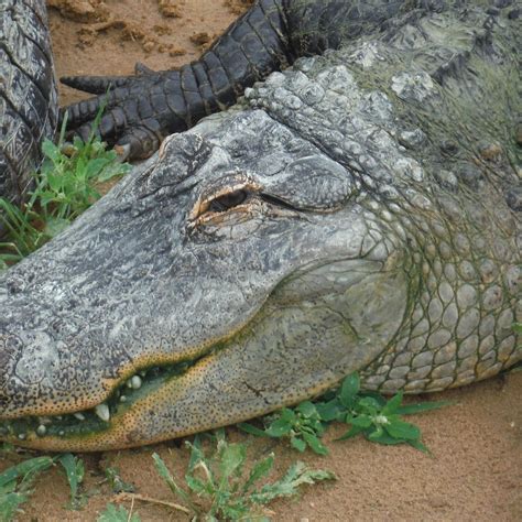 DOC'S ZOO (2025) All You Need to Know BEFORE You Go (with Photos ...