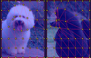 JavaScript Image Morphing 的图像结果