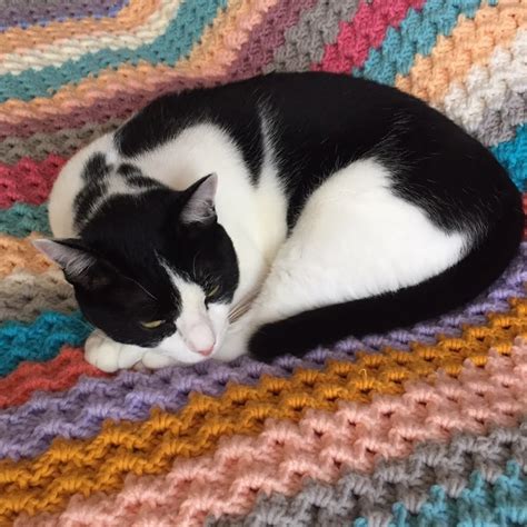 Nati Crochet Tutorials 的图像结果