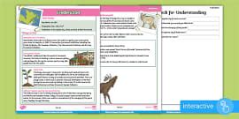 Edmonton Interactive Reading Comprehension (teacher made)