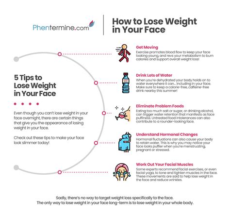 How to Lose Weight in Your Face [Infographic] – Phentermine.com