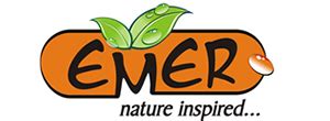 Nature Inspired Logo Design India