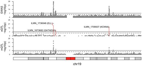 Characterizing the Relationship between Expression Quantitative Trait ...