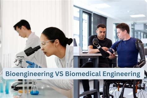 Biomedical Engineer vs Electrical Engineer 的图像结果