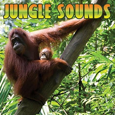 Image result for Alien Jungle Sounds