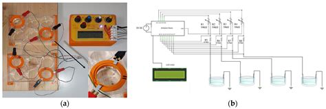 Evaluation of the Effects of Electrical Stimulation: A Pilot Experiment ...