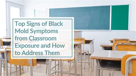 Top Signs of Black Mold Symptoms from Classroom Exposure and How to Address Them - CBH Energetics - symptoms of black mold infection
