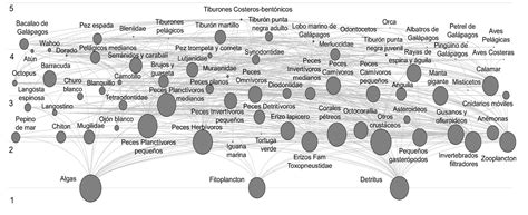 Image result for Ecosystem Structure Model