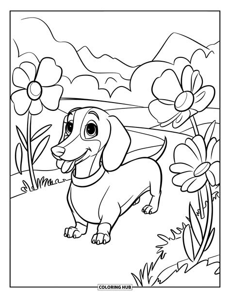 Wiener Dog Coloring Page