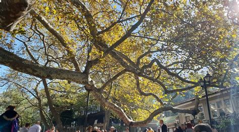 INKAYA CINARI (2025) All You Need to Know BEFORE You Go (with Photos ...