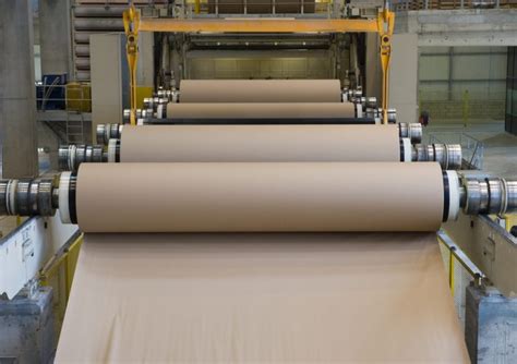 Image result for How Does Paper Get Made