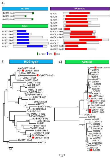 IJMS | Special Issue : Role of Epigenetic Mechanisms in Plants: From ...