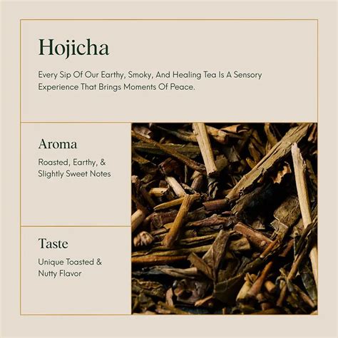 Hojicha Green Tea | Roasted Green Tea - ILEM JAPAN