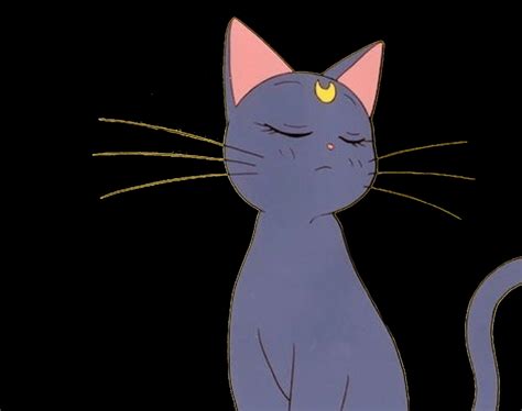Sailor Moon Cat Wallpapers - Top Free Sailor Moon Cat Backgrounds ...