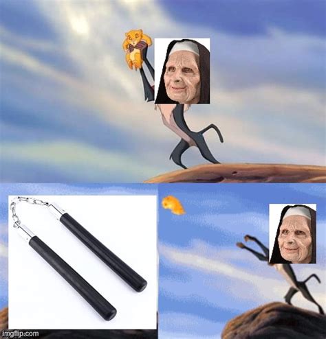 Simba Rafiki Lion King Memes - Imgflip