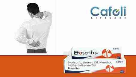 Etoscrib Gel Ointment (Etoricoxib 10mg + Linseed Oil 30mg + Menthol ...