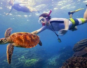 Top Things to do in Havelock Island in Andaman Islands