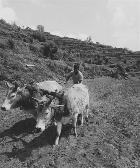 Farming 的图像结果