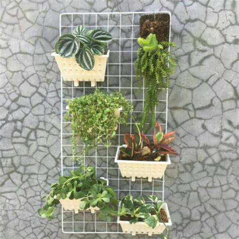 Jual ram besi gantung rak pot dinding/tempel - Putih - Jakarta Selatan ...