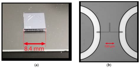Micromachines | Special Issue : Micro- and Nanofluidics for ...