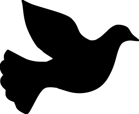 Dove Pigeon Silhouette Black transparent image