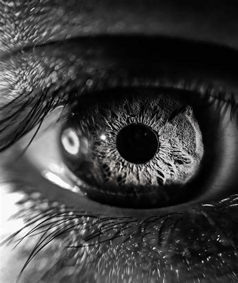 Download Black And White Eye Macro Photography Wallpaper | Wallpapers.com
