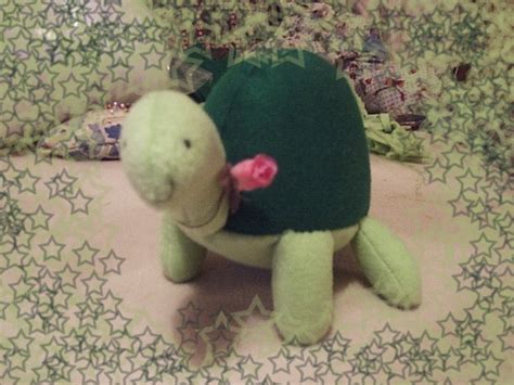 Image result for Turtle Tutorial