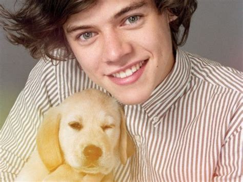 Image result for Viyl One Direction