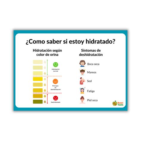 Lamina - Síntomas de deshidratación - A4 - nutritools
