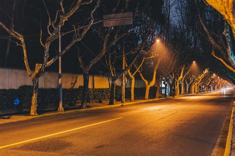 도로 도시 밤 사진 무료 다운로드 - Lovepik