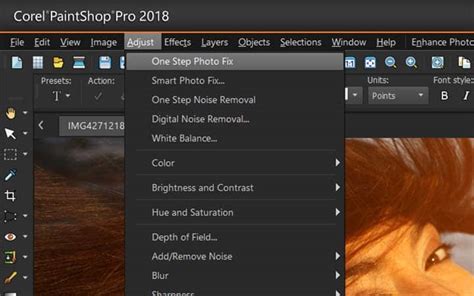 Image result for Paint Shop Pro Color Correction Tutorial