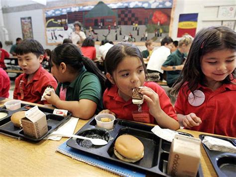 美国小学减免午餐是怎么回事？美国人的孩子上学收不收费？_法库传媒网
