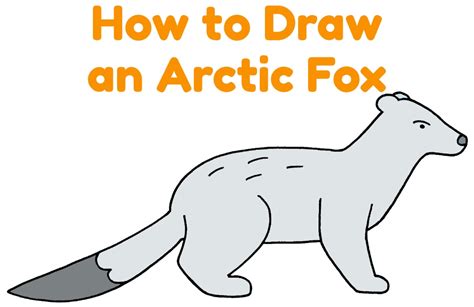 Image result for Arctic Fox Drawing Tutorial
