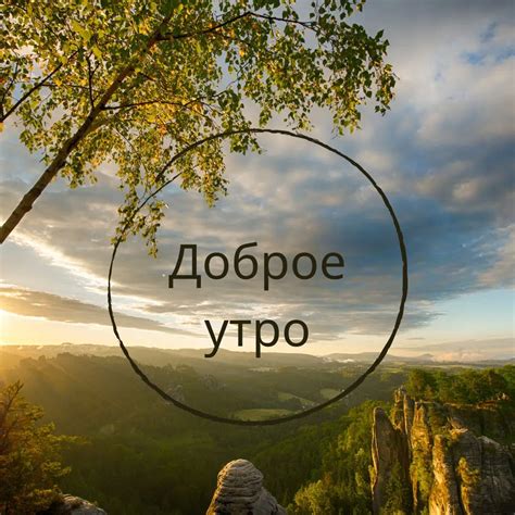 50+ Good Morning Russian Images & Wishes - Good Morning Pictures