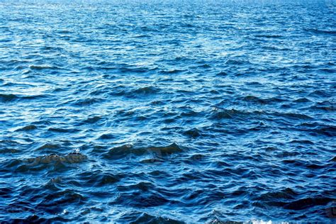 Blue Sea 的图像结果