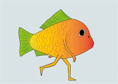 Gold Fish Animated Gif