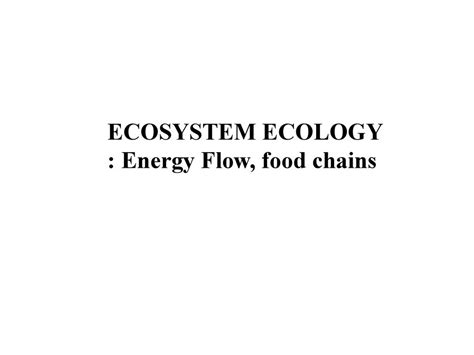 Ecosystem Flow Chart 的图像结果