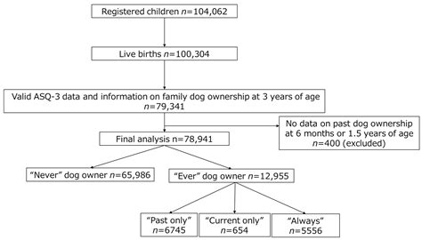 Association between Early Life Child Development and Family Dog ...