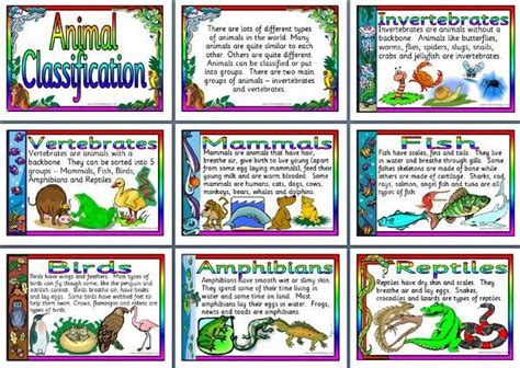 Image result for Classification Display KS2