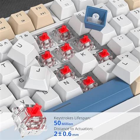 Keyboard Creamy | iRoboosta 75 Mechanical Creamy Keyboard with Volume ...